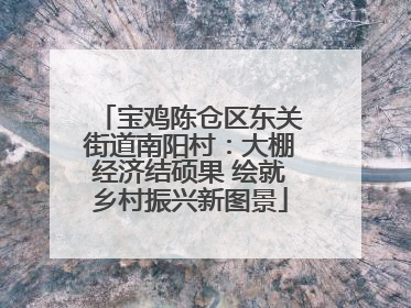 宝鸡陈仓区东关街道南阳村：大棚经济结硕果 绘就乡村振兴新图景