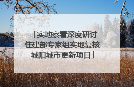实地察看深度研讨 住建部专家组实地复核城阳城市更新项目