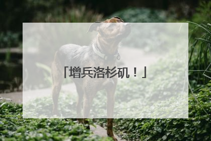 增兵洛杉矶！