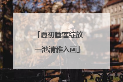 夏初睡莲绽放 一池清雅入画
