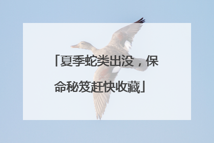 夏季蛇类出没，保命秘笈赶快收藏