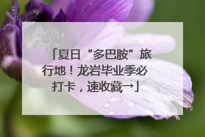 夏日“多巴胺”旅行地！龙岩毕业季必打卡，速收藏→