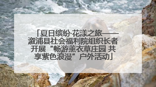 夏日缤纷·花漾之旅——溆浦县社会福利院组织长者开展“畅游薰衣草庄园 共享紫色浪漫”户外活动