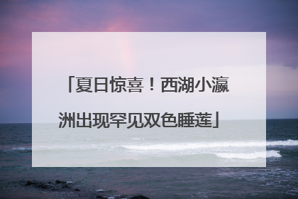 夏日惊喜！西湖小瀛洲出现罕见双色睡莲