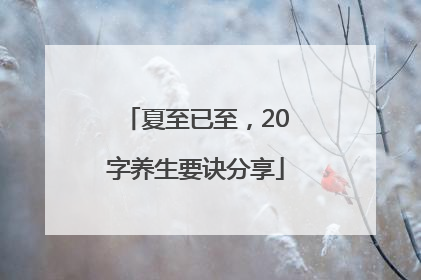 夏至已至，20字养生要诀分享