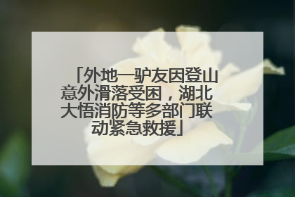外地一驴友因登山意外滑落受困，湖北大悟消防等多部门联动紧急救援