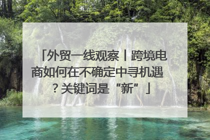 外贸一线观察丨跨境电商如何在不确定中寻机遇？关键词是“新”