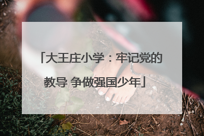 大王庄小学：牢记党的教导 争做强国少年