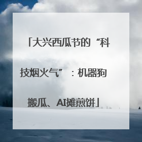 大兴西瓜节的“科技烟火气”：机器狗搬瓜、AI摊煎饼