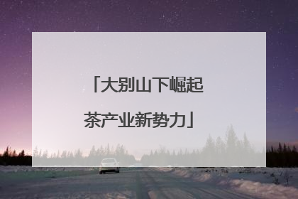 大别山下崛起茶产业新势力