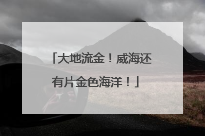 大地流金！威海还有片金色海洋！