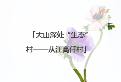 大山深处“生态”村——从江高仟村