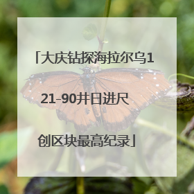 大庆钻探海拉尔乌121-90井日进尺 创区块最高纪录