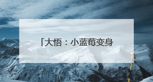 大悟：小蓝莓变身“致富果” 特色生“金”致富有方