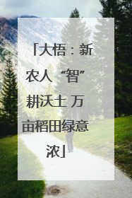 大悟：新农人“智”耕沃土 万亩稻田绿意浓