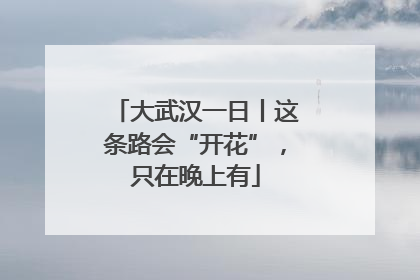 大武汉一日丨这条路会“开花”，只在晚上有