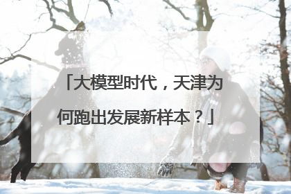 大模型时代，天津为何跑出发展新样本？