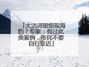 大沽河里惊现海豹？专家：有过此类案例，市民不要自行靠近