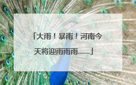 大雨！暴雨！河南今天将迎雨雨雨……