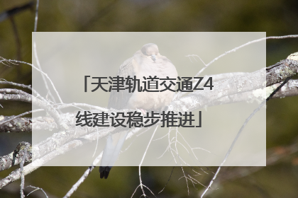 天津轨道交通Z4线建设稳步推进