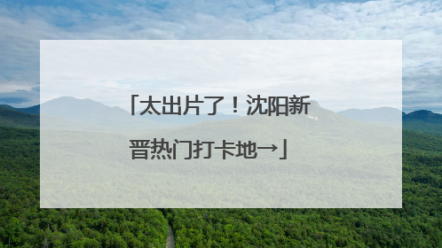 太出片了！沈阳新晋热门打卡地→