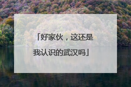 好家伙，这还是我认识的武汉吗