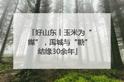 好山东丨玉米为“媒”，禹城与“糖”结缘30余年