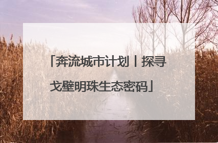 奔流城市计划丨探寻戈壁明珠生态密码