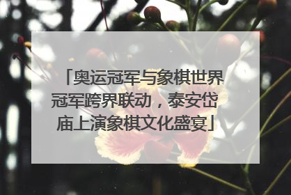 奥运冠军与象棋世界冠军跨界联动，泰安岱庙上演象棋文化盛宴