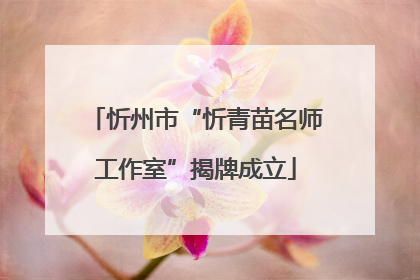 忻州市“忻青苗名师工作室”揭牌成立
