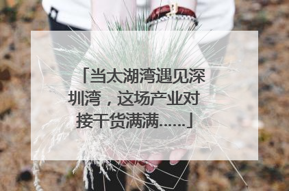 当太湖湾遇见深圳湾，这场产业对接干货满满……