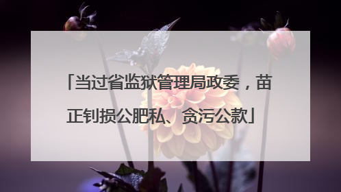 当过省监狱管理局政委，苗正钊损公肥私、贪污公款