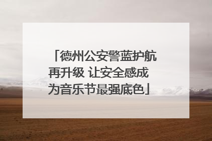 德州公安警蓝护航再升级 让安全感成为音乐节最强底色