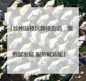 徐州鼓楼区牌楼街道：聚势谋发展 服务赋新能