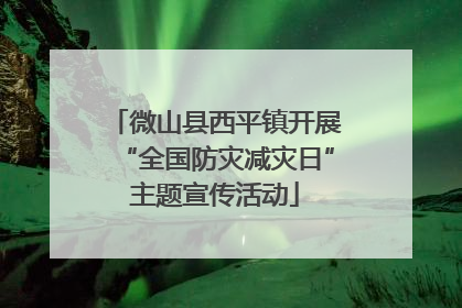 微山县西平镇开展“全国防灾减灾日”主题宣传活动