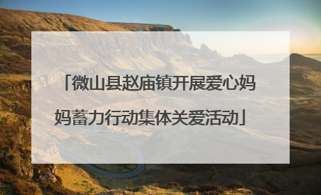 微山县赵庙镇开展爱心妈妈蓄力行动集体关爱活动