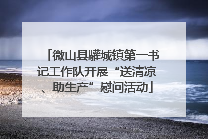 微山县驩城镇第一书记工作队开展“送清凉、助生产”慰问活动