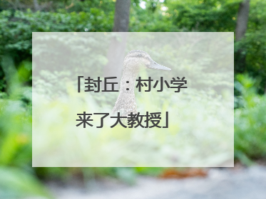 封丘：村小学来了大教授