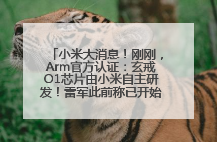 小米大消息！刚刚，Arm官方认证：玄戒O1芯片由小米自主研发！雷军此前称已开始大规模量产
