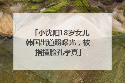 小沈阳18岁女儿韩国出道照曝光，被指撞脸孔孝真