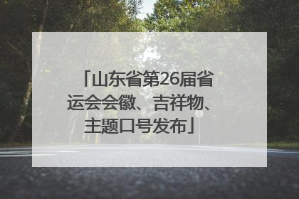 山东省第26届省运会会徽、吉祥物、主题口号发布