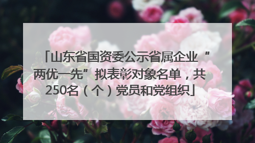 山东省国资委公示省属企业“两优一先”拟表彰对象名单，共250名（个）党员和党组织