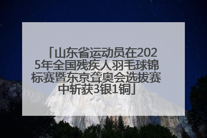 山东省运动员在2025年全国残疾人羽毛球锦标赛暨东京聋奥会选拔赛中斩获3银1铜