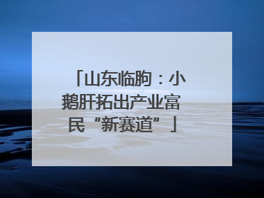 山东临朐：小鹅肝拓出产业富民“新赛道”