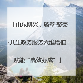 山东博兴：破壁·聚变·共生政务服务六维增值赋能“高效办成”