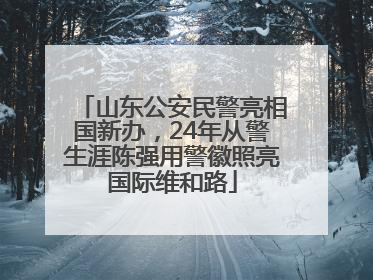 山东公安民警亮相国新办，24年从警生涯陈强用警徽照亮国际维和路