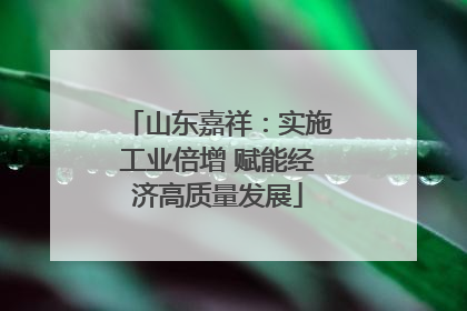 山东嘉祥：实施工业倍增 赋能经济高质量发展