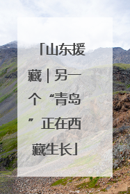 山东援藏｜另一个“青岛”正在西藏生长
