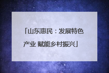 山东惠民：发展特色产业 赋能乡村振兴
