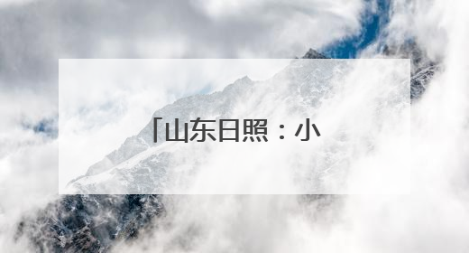 山东日照：小海马 大产业